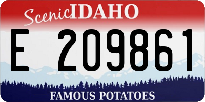 ID license plate E209861