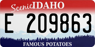 ID license plate E209863