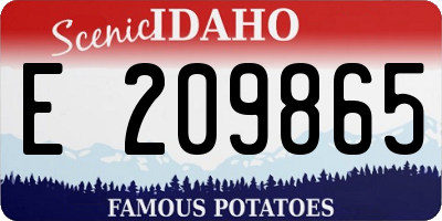 ID license plate E209865