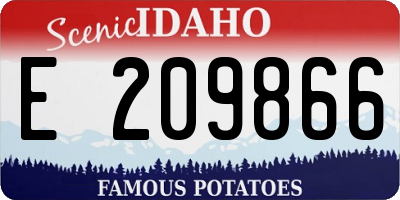 ID license plate E209866
