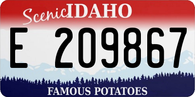 ID license plate E209867