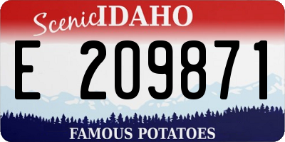 ID license plate E209871