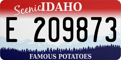 ID license plate E209873