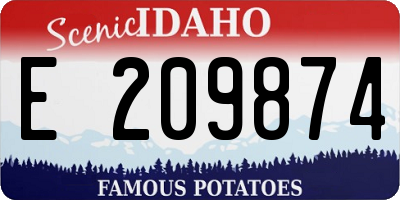 ID license plate E209874