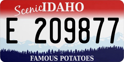 ID license plate E209877