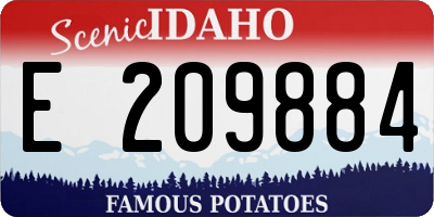 ID license plate E209884
