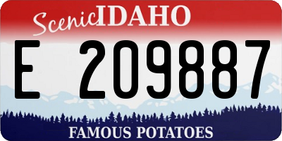ID license plate E209887