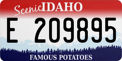 ID license plate E209895