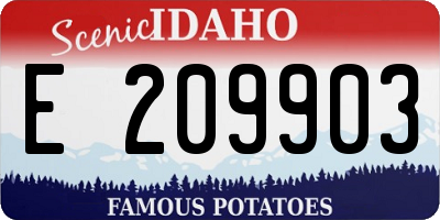 ID license plate E209903
