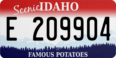 ID license plate E209904