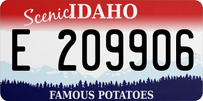 ID license plate E209906