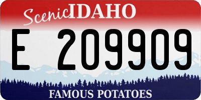 ID license plate E209909