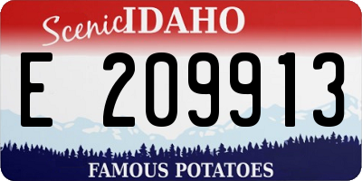 ID license plate E209913