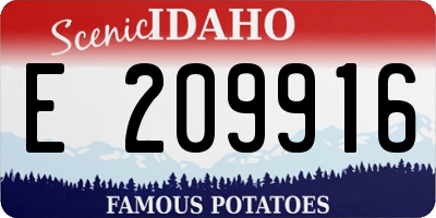 ID license plate E209916