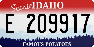 ID license plate E209917