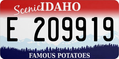 ID license plate E209919