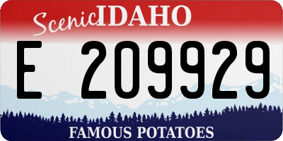 ID license plate E209929