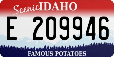 ID license plate E209946
