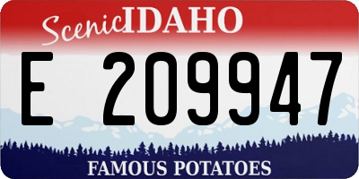 ID license plate E209947