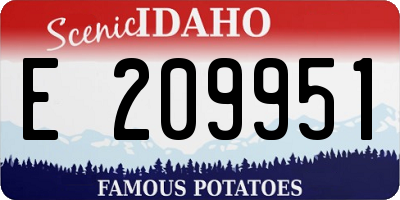 ID license plate E209951
