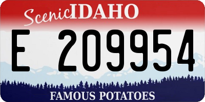 ID license plate E209954
