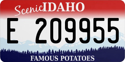 ID license plate E209955
