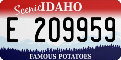 ID license plate E209959