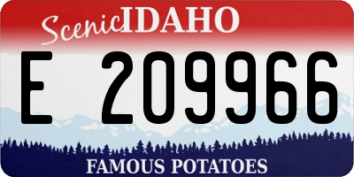 ID license plate E209966