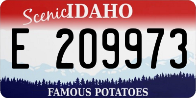 ID license plate E209973