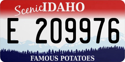 ID license plate E209976