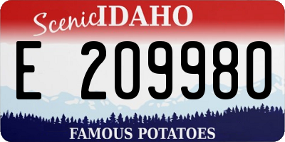 ID license plate E209980