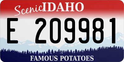 ID license plate E209981