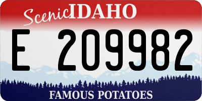 ID license plate E209982