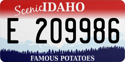 ID license plate E209986