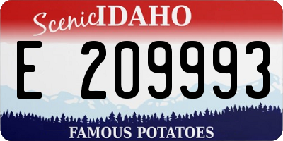 ID license plate E209993