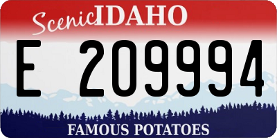 ID license plate E209994