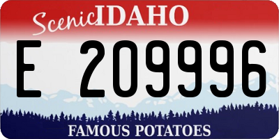 ID license plate E209996