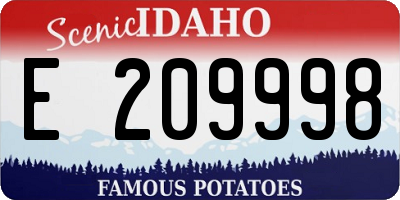 ID license plate E209998
