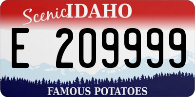 ID license plate E209999