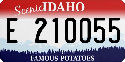 ID license plate E210055