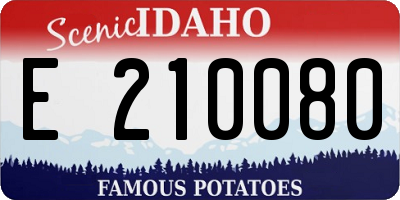 ID license plate E210080