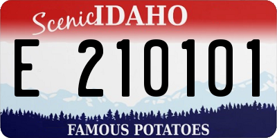 ID license plate E210101