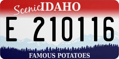 ID license plate E210116