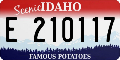 ID license plate E210117