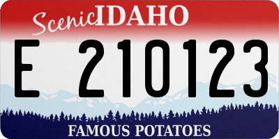 ID license plate E210123