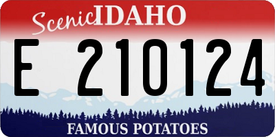ID license plate E210124