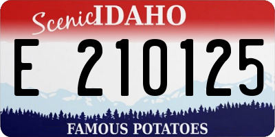 ID license plate E210125