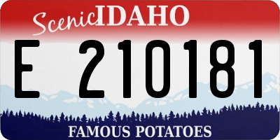 ID license plate E210181