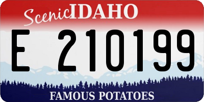 ID license plate E210199