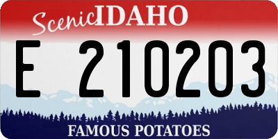 ID license plate E210203